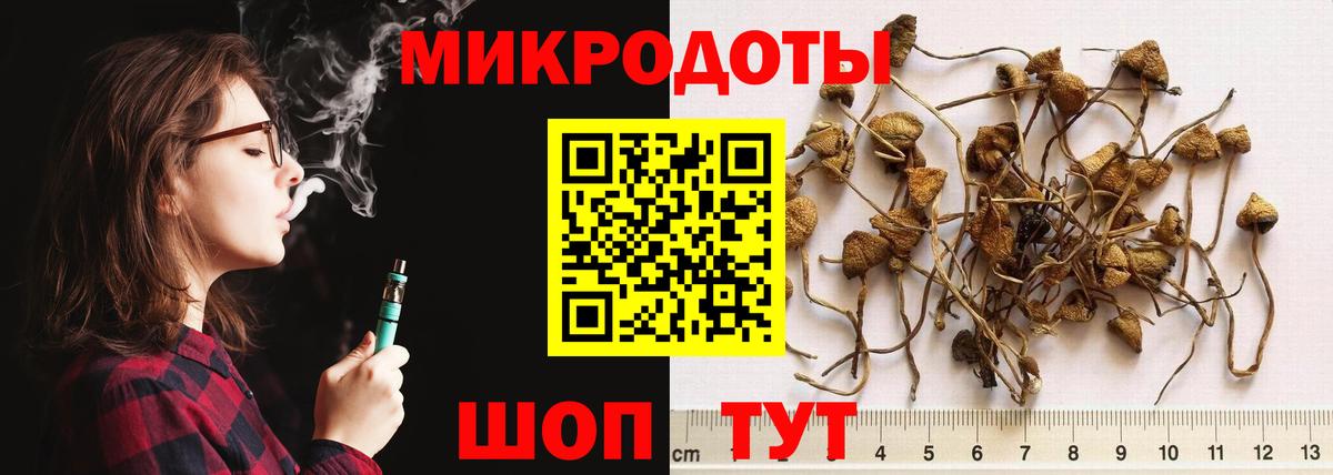 Псилоцибиновые грибы Magic Shrooms  Вход с VPN  Псилоцибиновые грибы MAGIC MUSHROOMS  Тимашёвск 